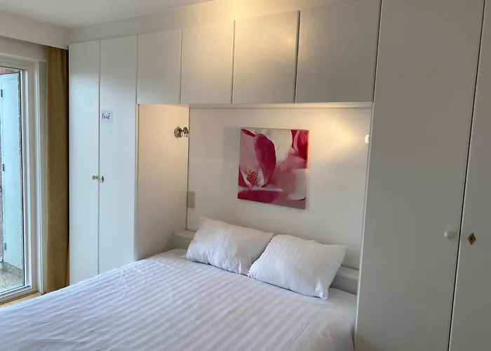 公寓 Digue Panoramique Blankberge 3 Ch 6 Pers 2 Sdb Wifi