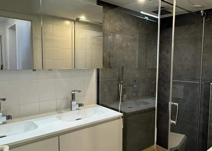 Digue Panoramique Blankberge 3 Ch 6 Pers 2 Sdb Wifi Blankenberge