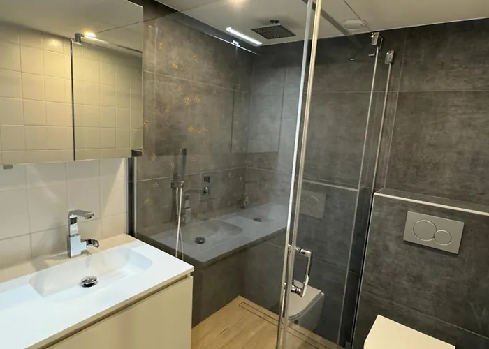 Digue Panoramique Blankberge 3 Ch 6 Pers 2 Sdb Wifi Apartment